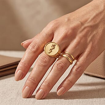 https://tjcuk.sirv.com/Products/86/0/8607774/EverTrue-Bronzella-Collection-Ring-in-Yellow-Gold-Tone_8607774_2.jpg?w=342&h=342