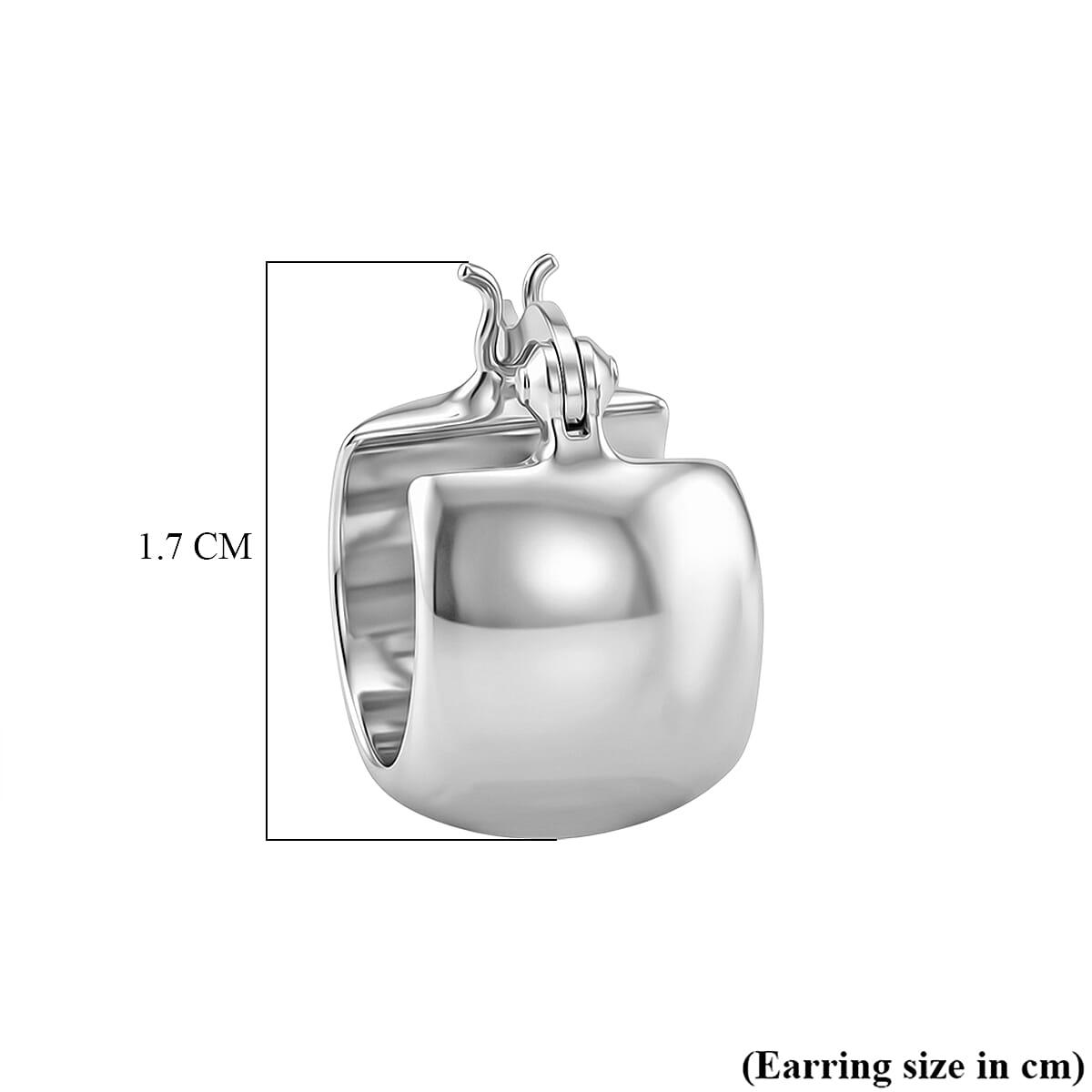 Sterling Silver Hoop Earring with Clasp
