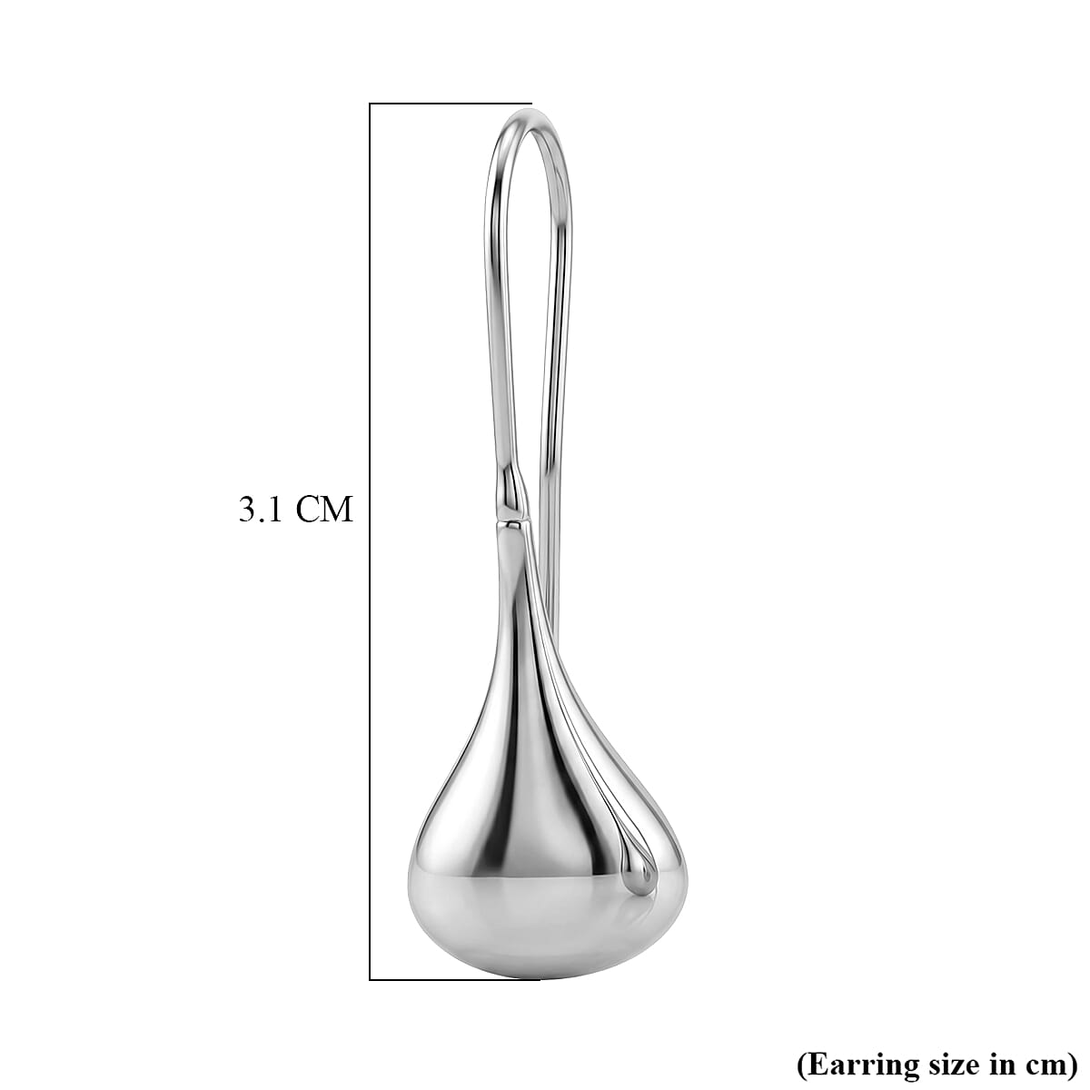 Sterling Silver Drop Earring with Hook