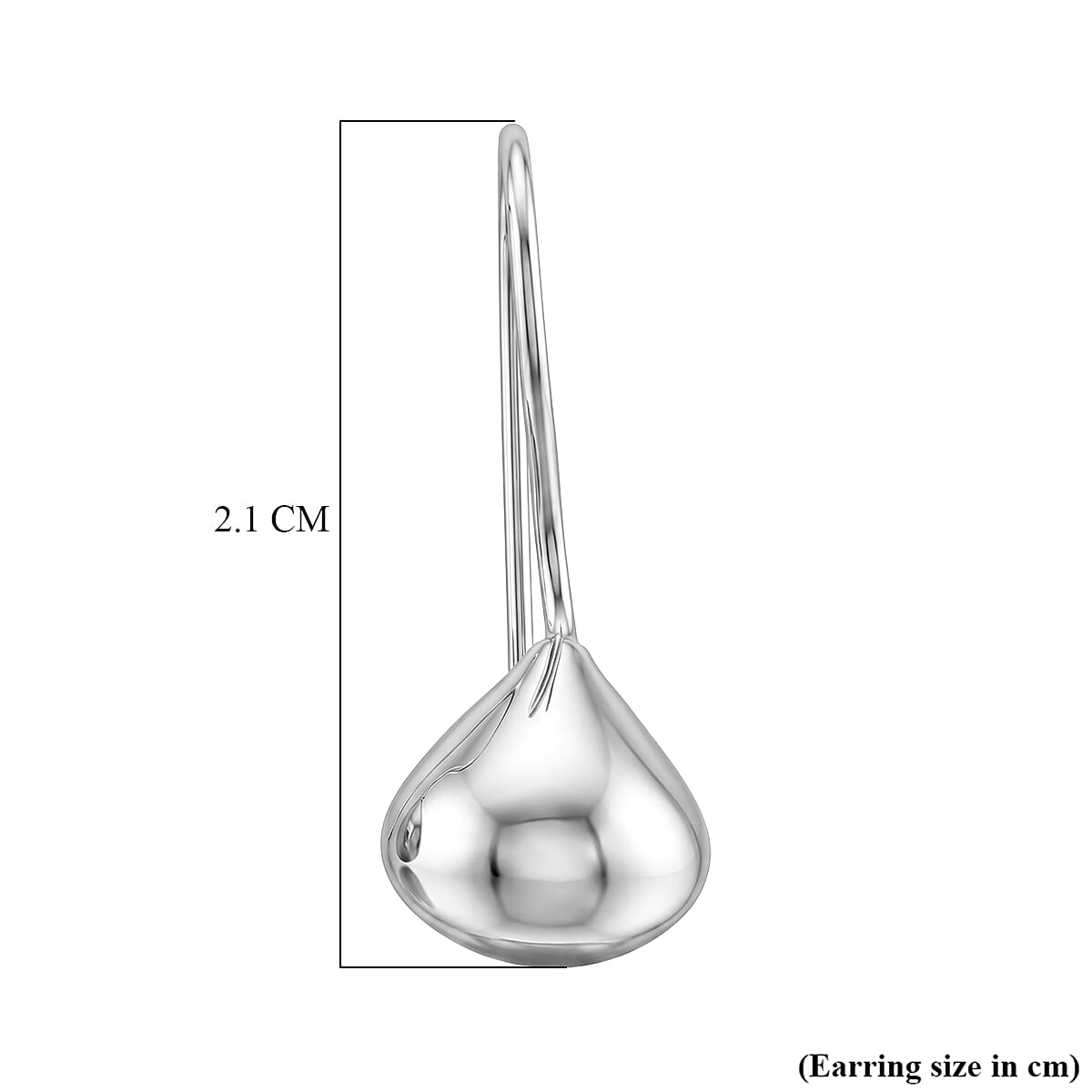 Closeout Deal - Sterling Silver Drop Earring with Hook