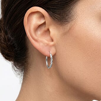 https://tjcuk.sirv.com/Products/86/2/8620478/Sterling-Silver-Earring_8620478_1.jpg?w=342&h=342