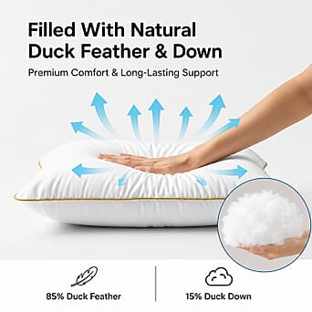 https://tjcuk.sirv.com/Products/86/2/8625293/Pair-Of-Duck-Feather-and-Down-Pillow-White_8625293_2.jpg?w=342&h=342