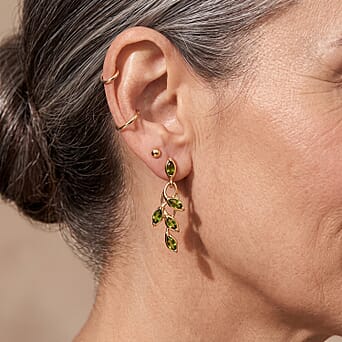https://tjcuk.sirv.com/Products/86/3/8632240/Natural-Chrome-Diopside-Earring-in-18K-YG-PlatingSterling-Silver-1-660_8632240_2.jpg?w=342&h=342