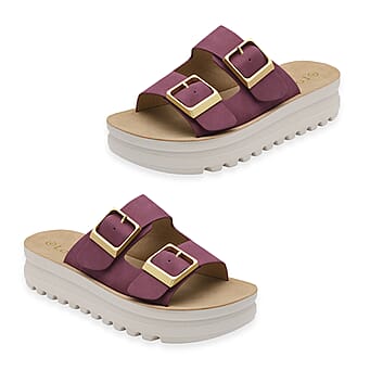 https://tjcuk.sirv.com/Products/86/4/8648004/Lotus-Ladies-Sandal-Size-37-Plum_8648004.jpg?w=342&h=342