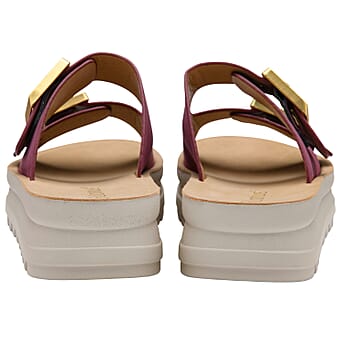 https://tjcuk.sirv.com/Products/86/4/8648006/Lotus-Ladies-Sandal-Size-39-Plum_8648006_3.jpg?w=342&h=342