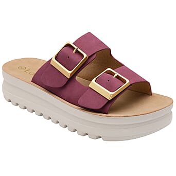 https://tjcuk.sirv.com/Products/86/4/8648007/Lotus-Ladies-Sandal-Size-40-Plum_8648007.jpg?w=342&h=342