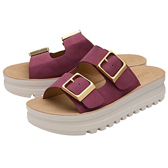 https://tjcuk.sirv.com/Products/86/4/8648007/Lotus-Ladies-Sandal-Size-40-Plum_8648007_1.jpg?w=342&h=342