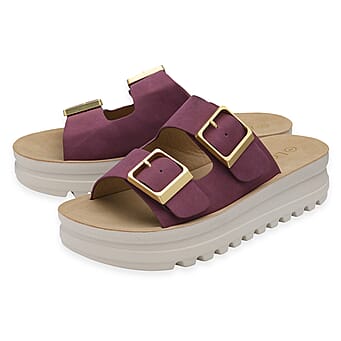 https://tjcuk.sirv.com/Products/86/4/8648008/Lotus-Ladies-Sandal-Size-41-Plum_8648008_1.jpg?w=342&h=342