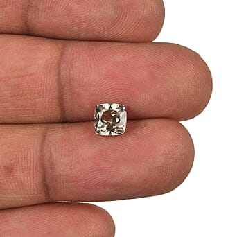 https://tjcuk.sirv.com/Products/86/6/8661476/AAA-Turkizite-Square-Cushion-Cut-Gemstone-1-00-Ct_8661476_3.jpg?w=342&h=342