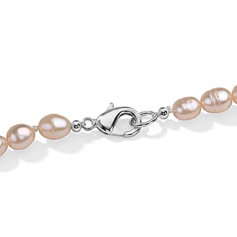 https://tjcuk.sirv.com/Products/86/6/8662983/LA-Closeout-Deals-Peach-Fresh-Water-Pearl-Necklace-Size-16-With-Lobste_8662983_4.jpg?w=342&h=342
