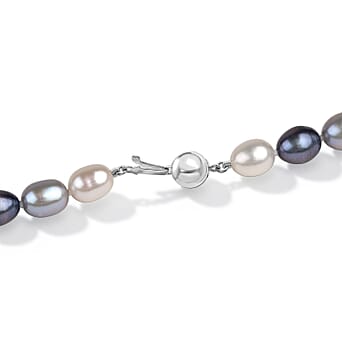 https://tjcuk.sirv.com/Products/86/6/8663010/LA-Closeout-Deals-Peacock-Pearl-Silver-White-Fresh-Water-Pearl-Necklac_8663010_4.jpg?w=342&h=342