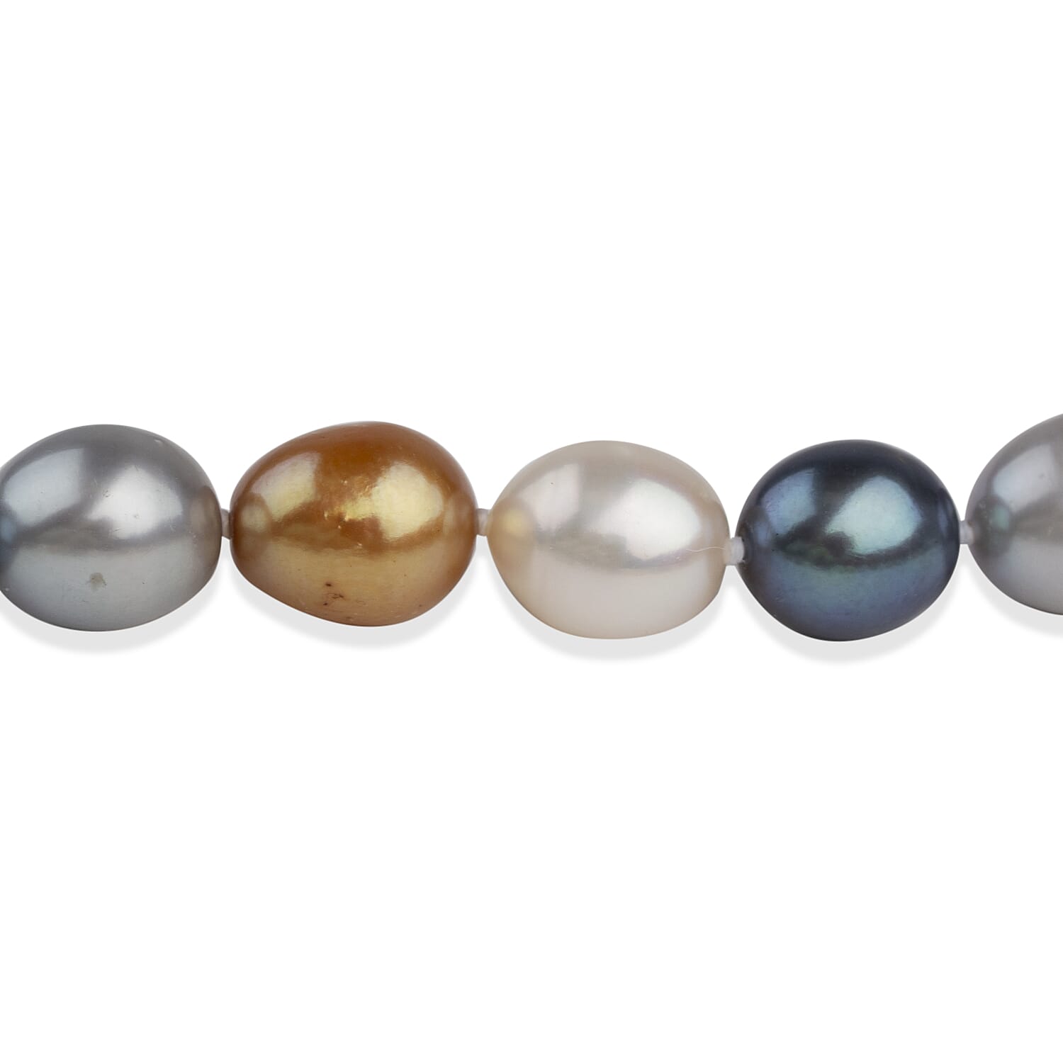 LA Closeout Deals Multi Colour Dyed Golden, Peacock, Silver & White Fresh Water Pearl Necklace (Size - 18) With Sterling Silver Lobster Clasp 225.00 Ct.