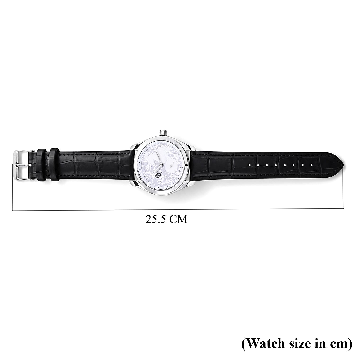 William Hunt Relief Horse Miyota 1L45 Japan Movement 5ATM WR Silver Hydraulic Meteorite Dial & IPS Plating 304 Stainless Steel Case Mens Watch with Black Leather Strap