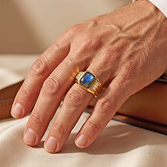 https://tjcuk.sirv.com/Products/86/9/8697080/EverTrue-Labradorite-White-Zircon-Signet-Ring-in-Yellow-Gold-Tone-3-65_8697080_1.jpg?w=342&h=342