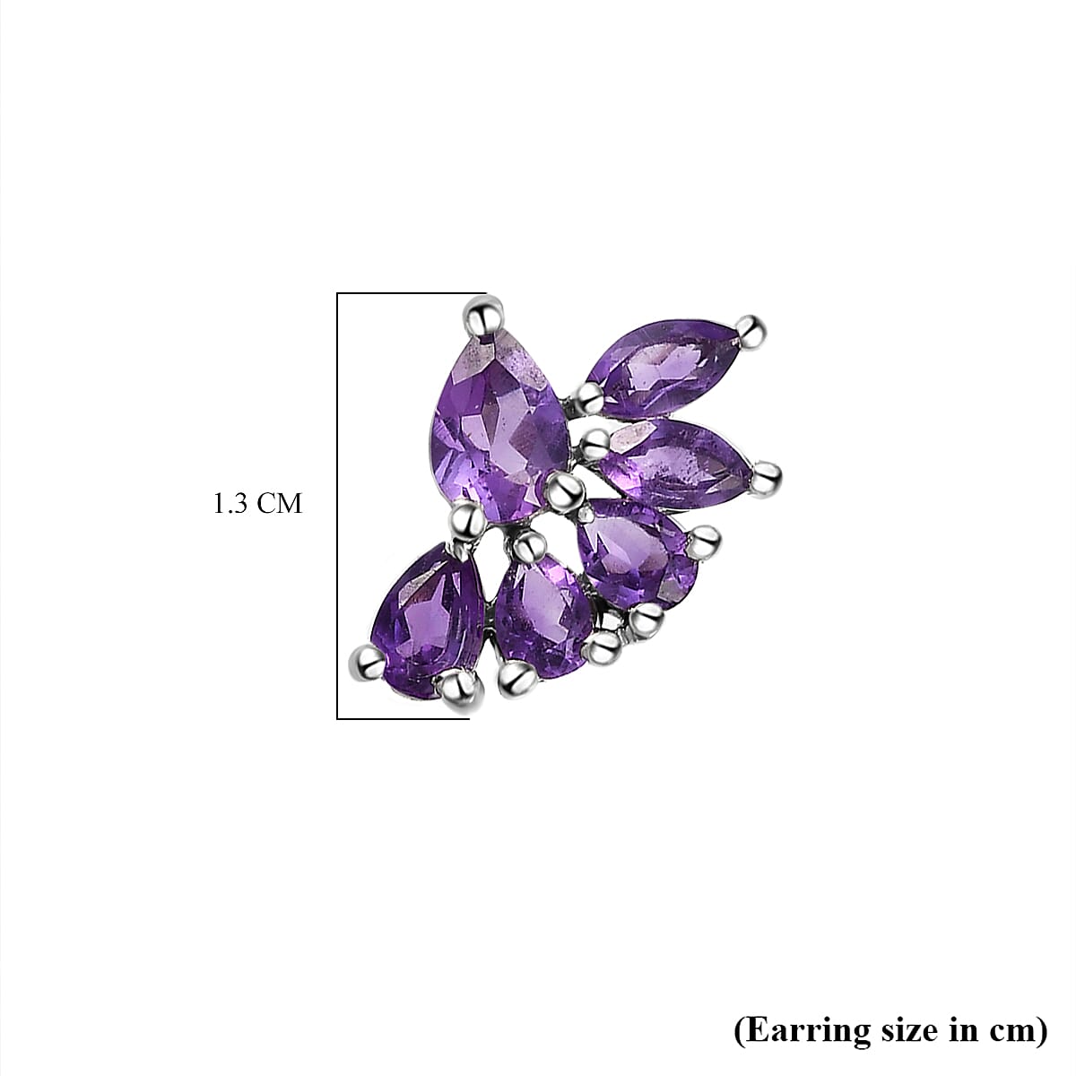 Amethyst Earrings (With Push Back) in Platinum Overlay Sterling Silver.