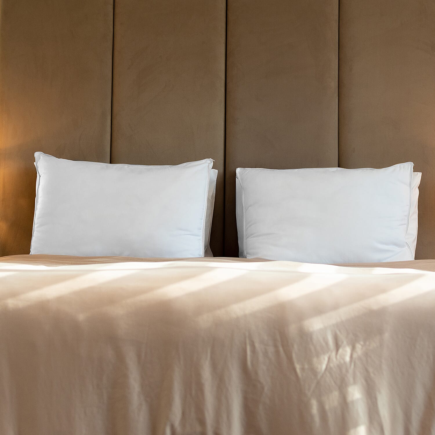 Polyester Pillow Case and Cover (Size 50x1 cm) - White & Silver