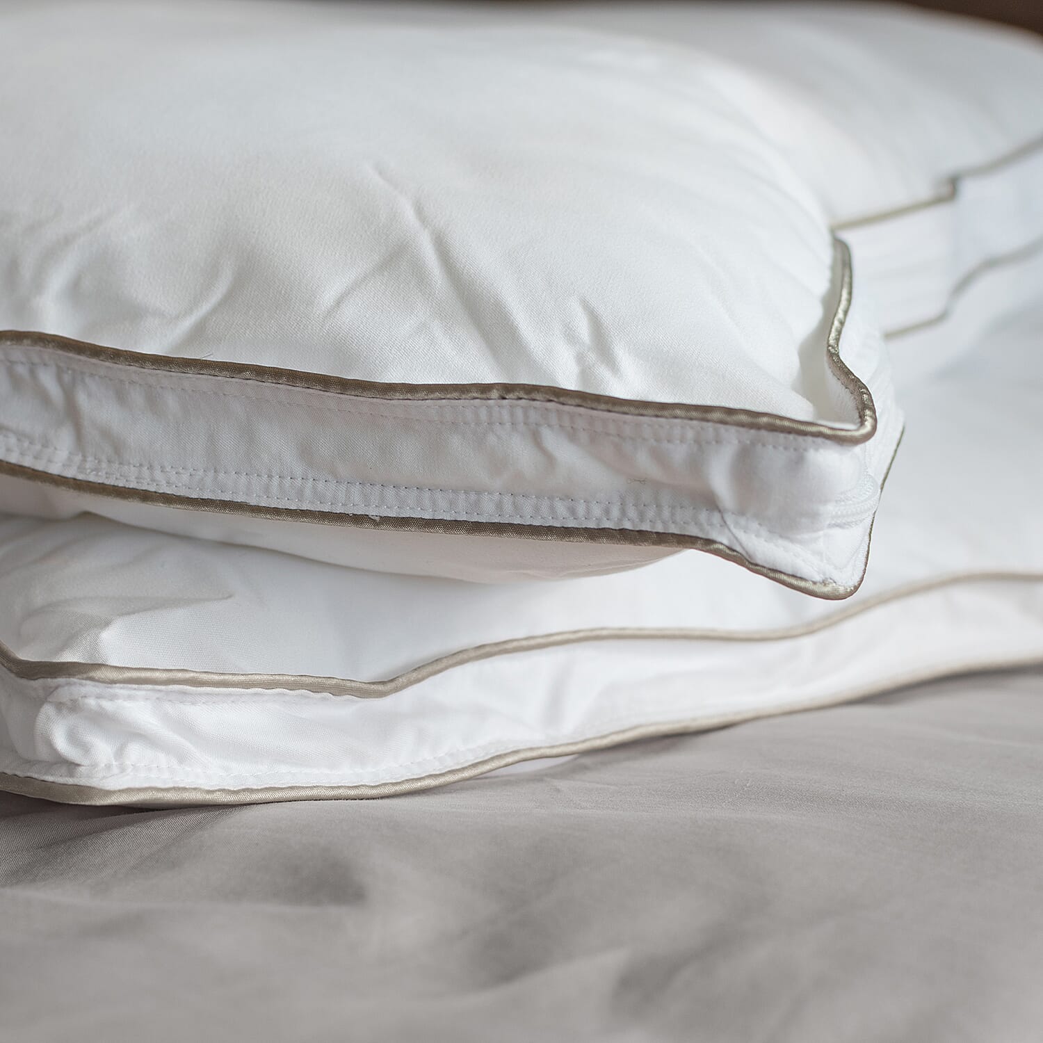 Polyester Pillow Case and Cover (Size 50x1 cm) - White & Silver