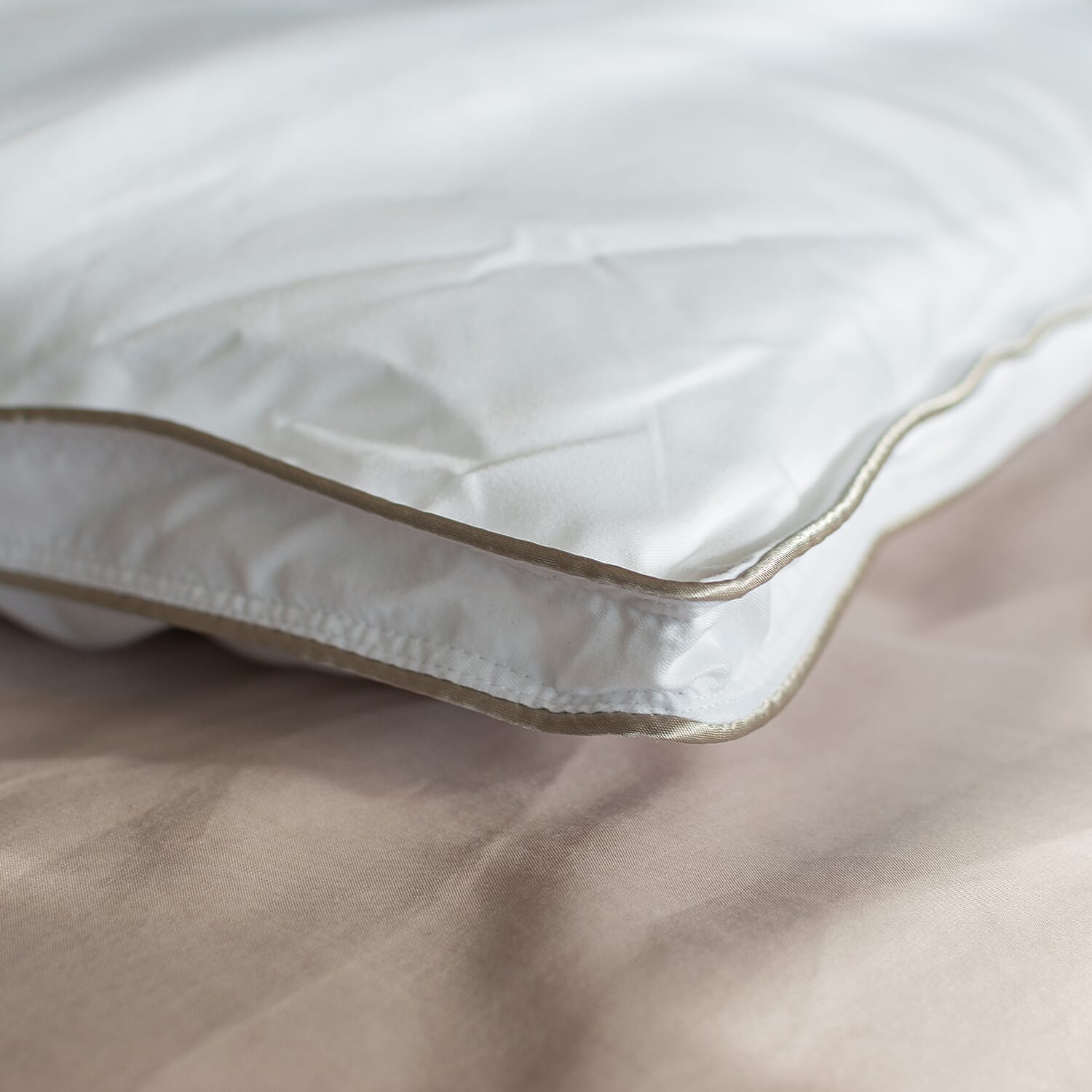 Polyester Pillow Case and Cover (Size 50x1 cm) - White & Silver