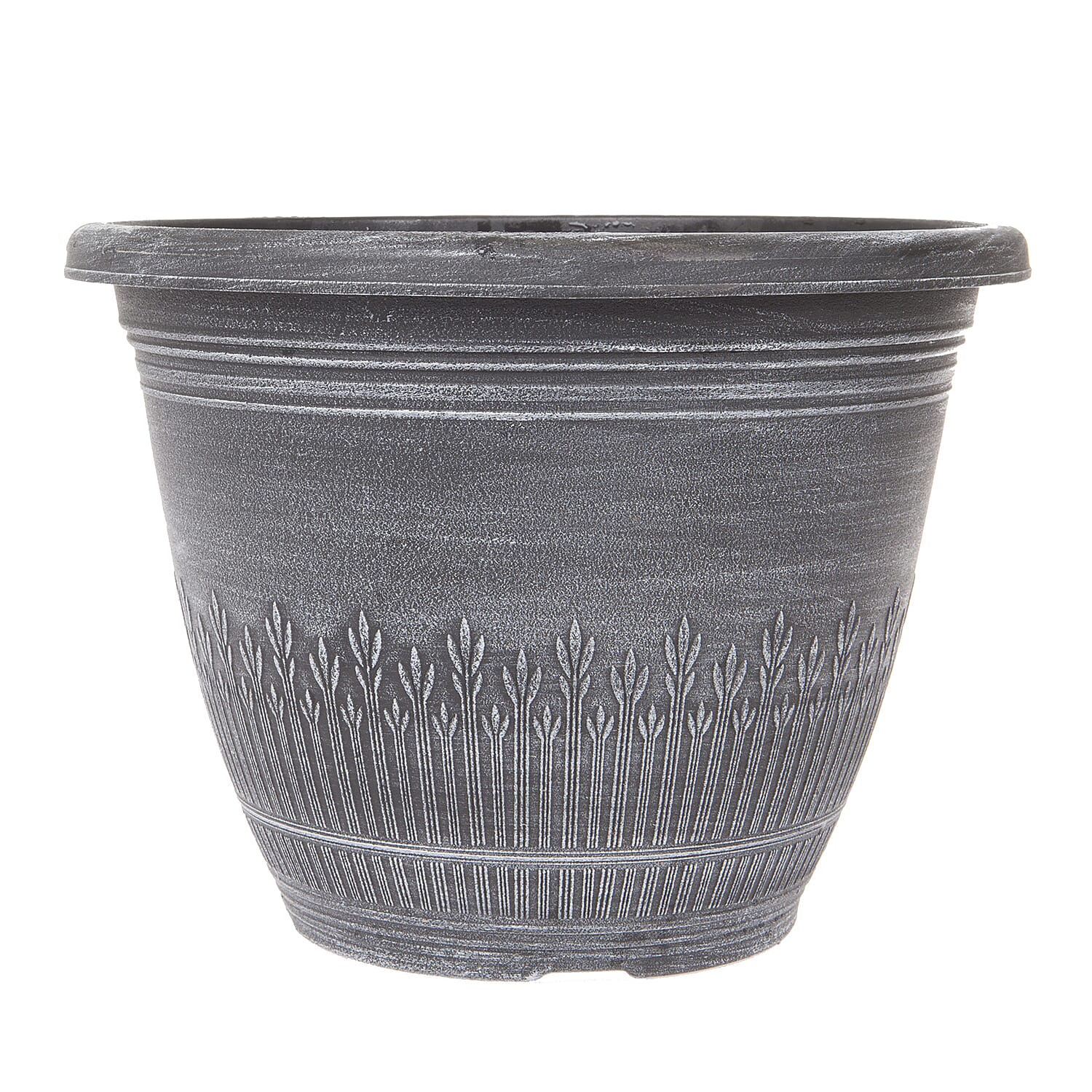 Gardening Direct Bundle of Begonia Fiery Shades Tubers x 20 , Wheatsheaf Plants x 4 and Compost 40L