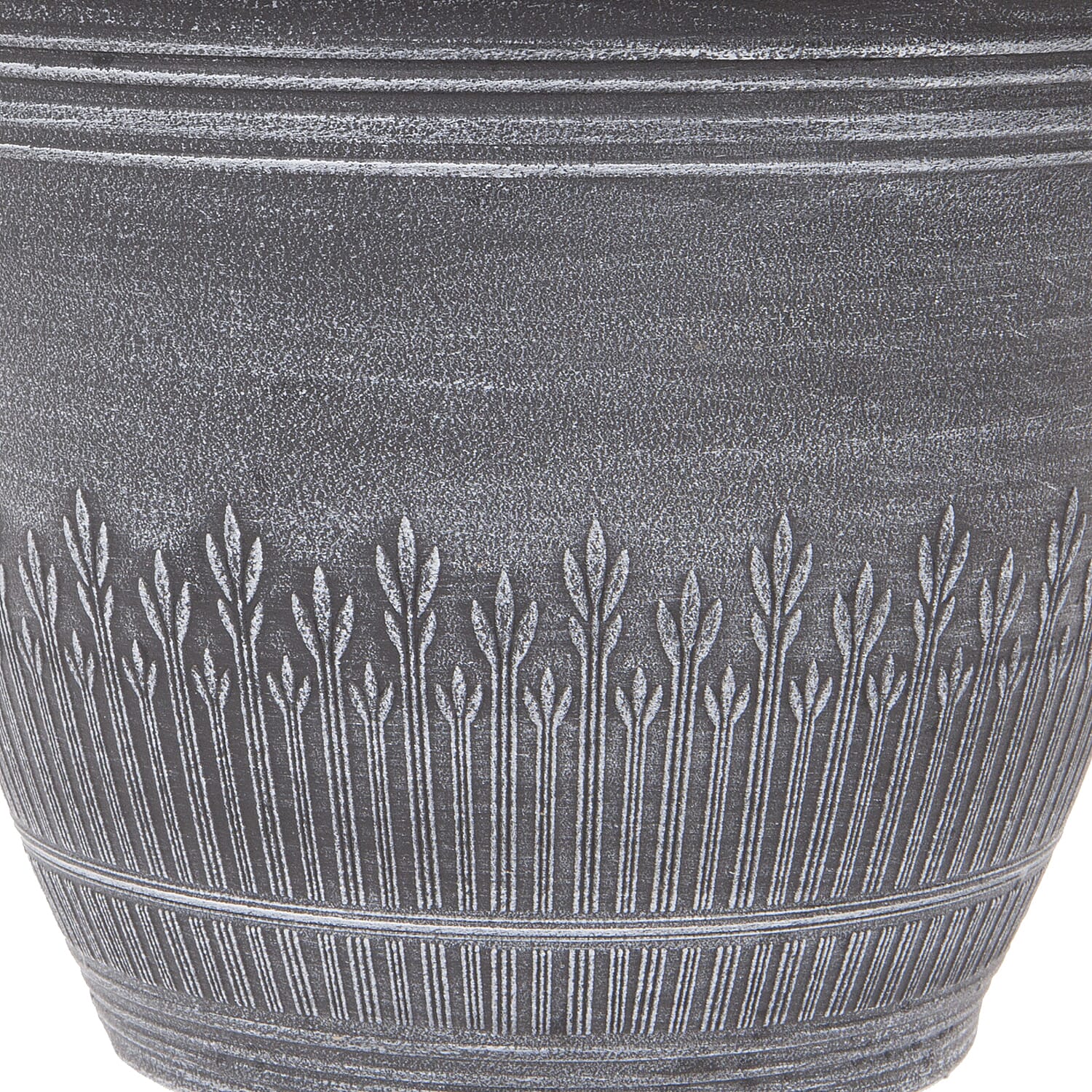 Gardening Direct Bundle of Begonia Fiery Shades Tubers x 20 , Wheatsheaf Plants x 4 and Compost 40L