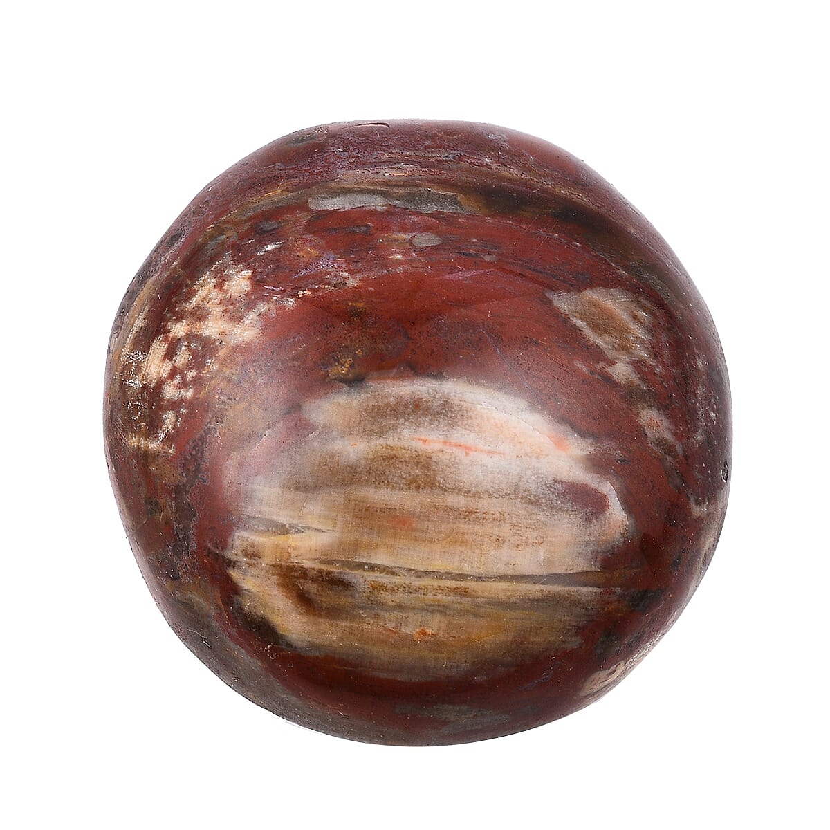 Gem Treasures - Petrified Wood Pebble- Medium