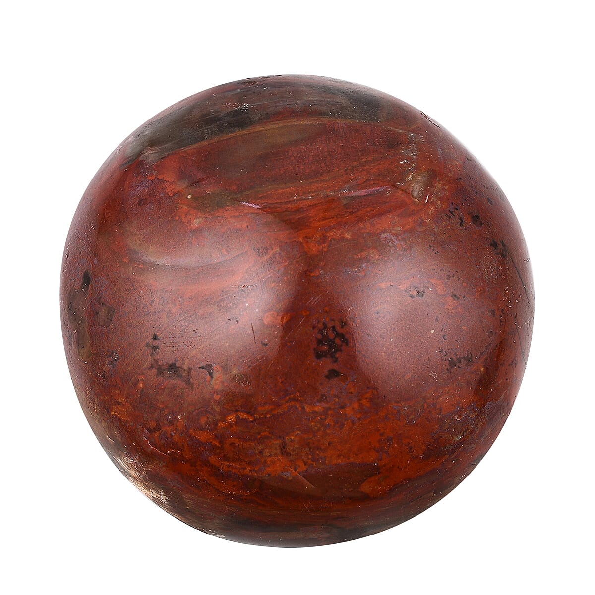 Gem Treasures - Petrified Wood Pebble- Medium