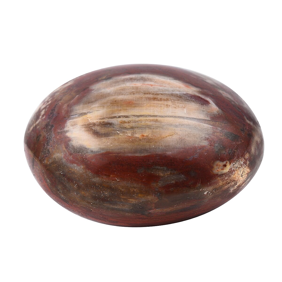 Gem Treasures - Petrified Wood Pebble- Medium