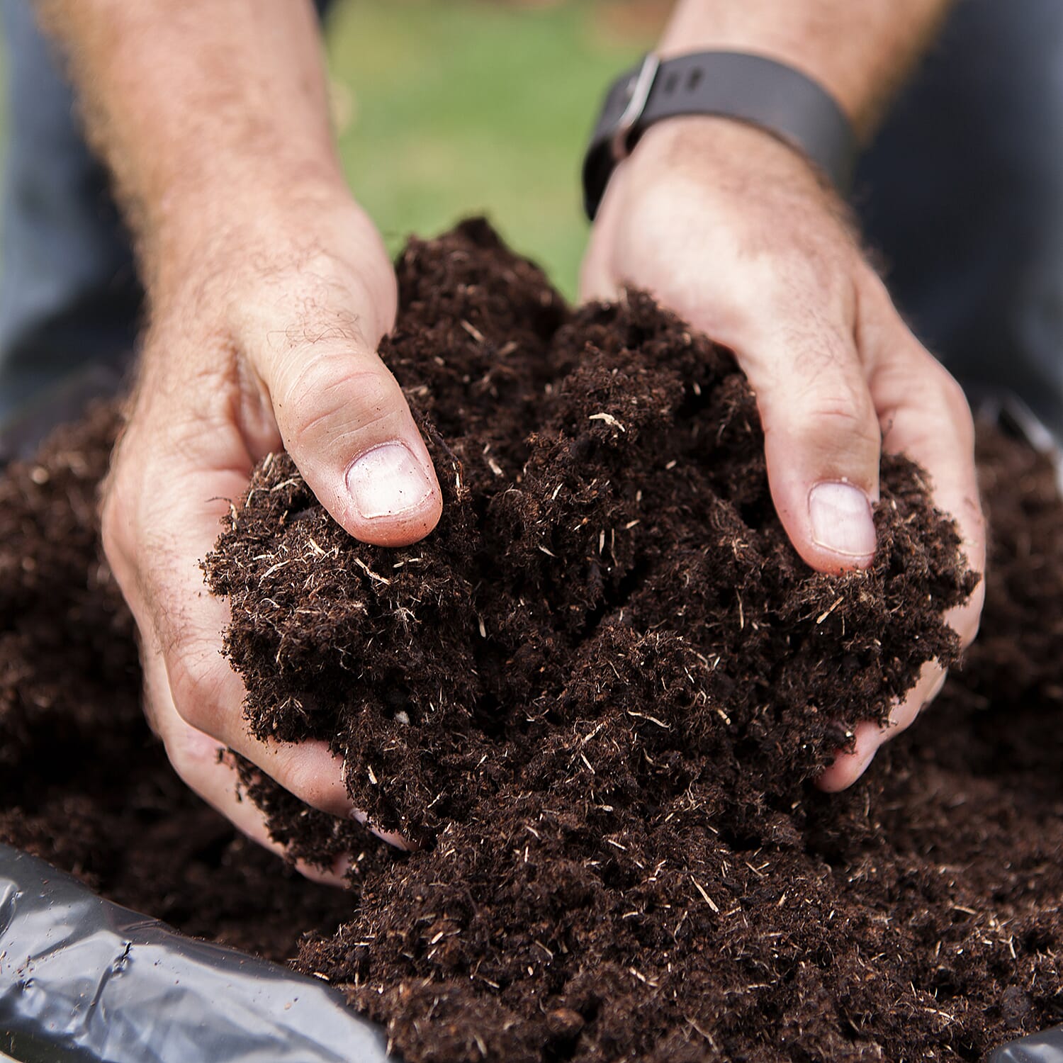 Gardening Direct Pair of Medley Window Box Planters with Giant Strawberry Colossus x 6 Plug Plants & 40L Compost