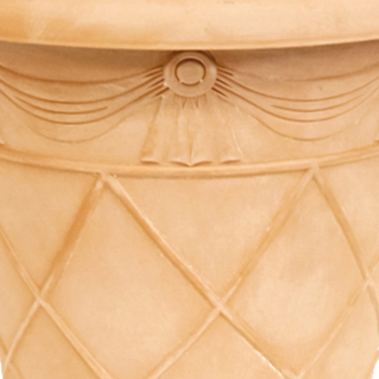 Gardening Direct Pair of Mini Standard Euonymus with Tuscan Planters