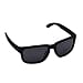 Wayfarer Sunglasses with Polycarbonate Lens - Black