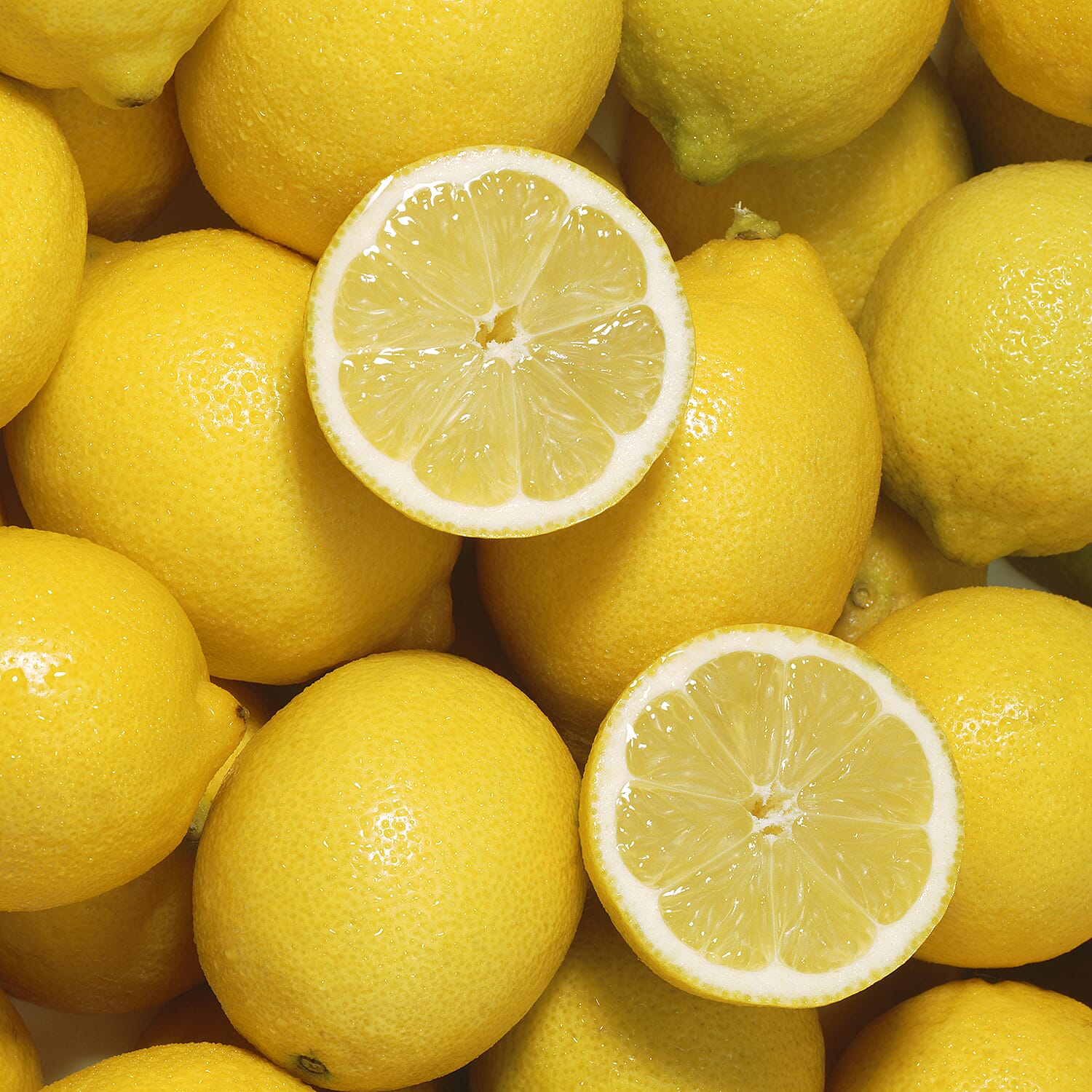 Gardening Direct Citrus Lemon 6L