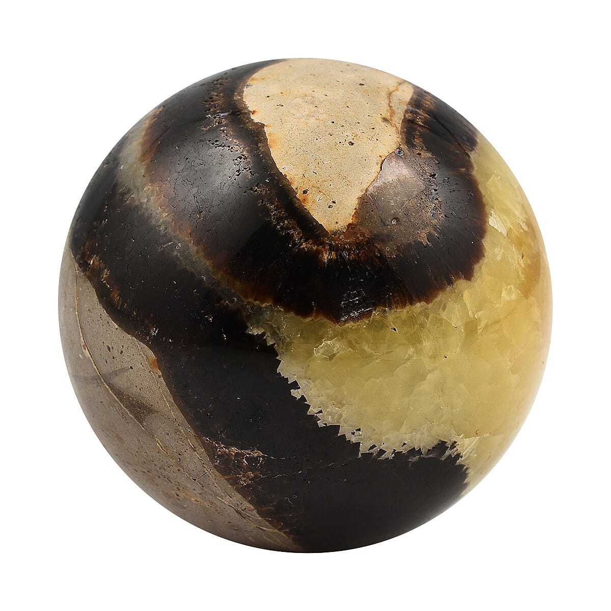 Gem Treasures - Septarian Sphere (2-3 Inch)