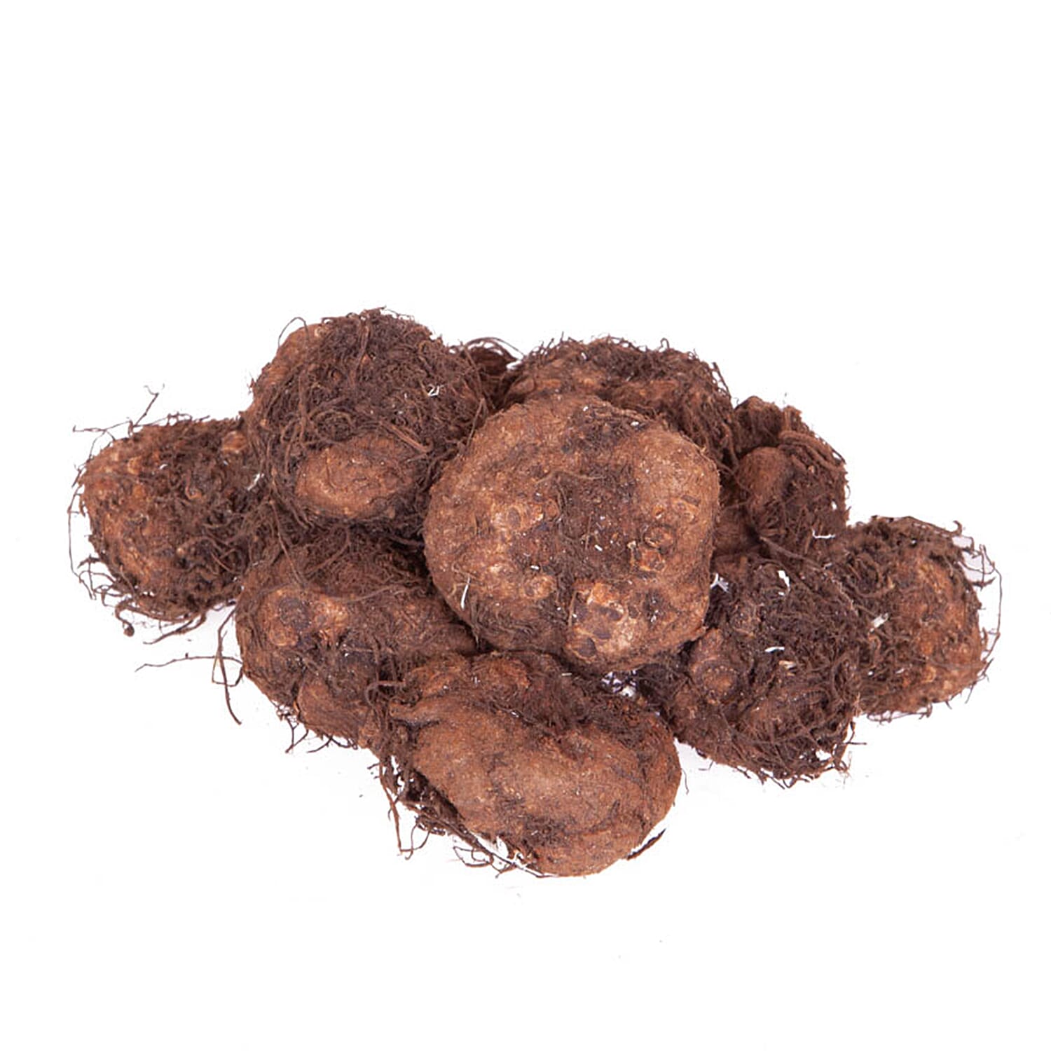 Gardening Direct Pair of Calista Hanging Baskets & Begonia Apricot Fiery Shades tubers x 10