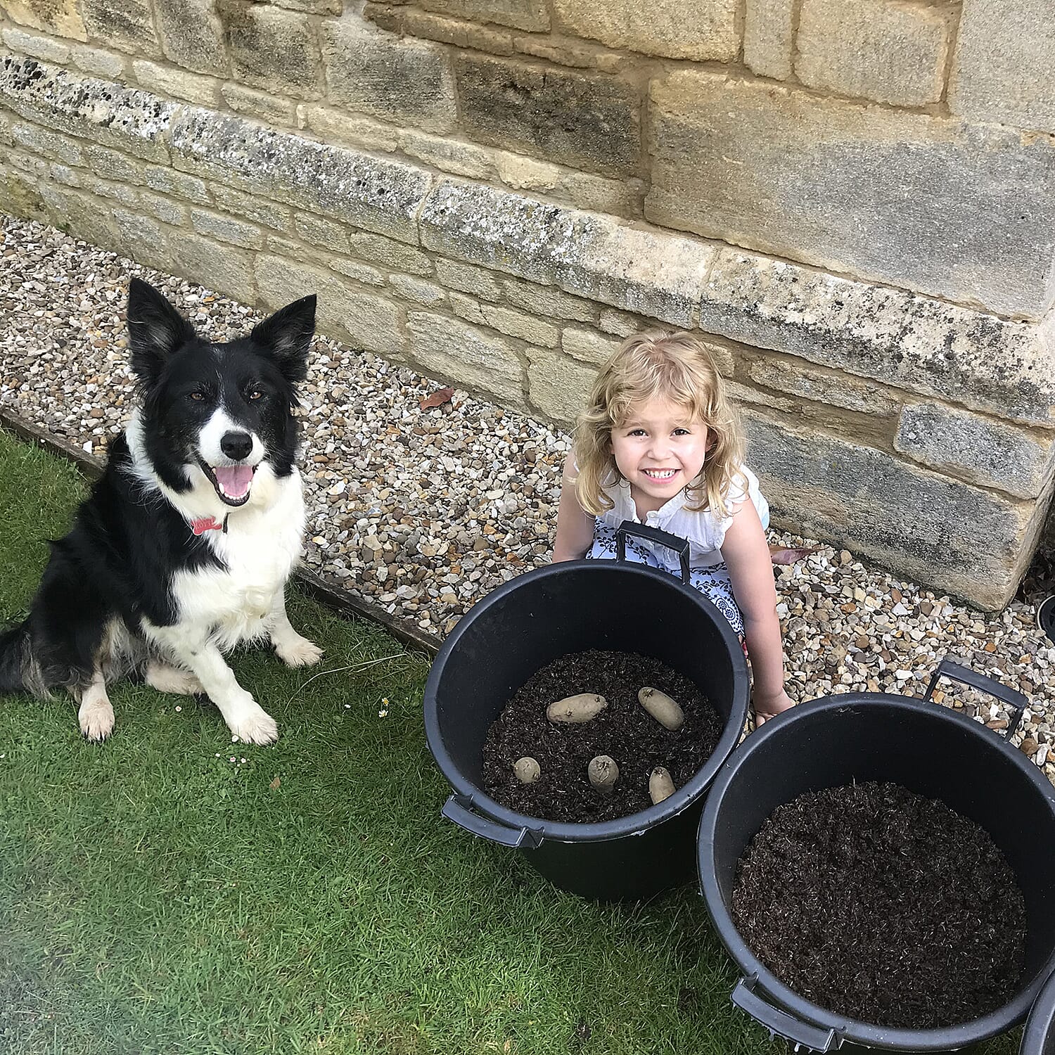 Gardening Direct Complete Patio Potato Growing Kit Including 3 Vareities Tubers, 30L Heavy Duty Grow Pots & Fertiliser