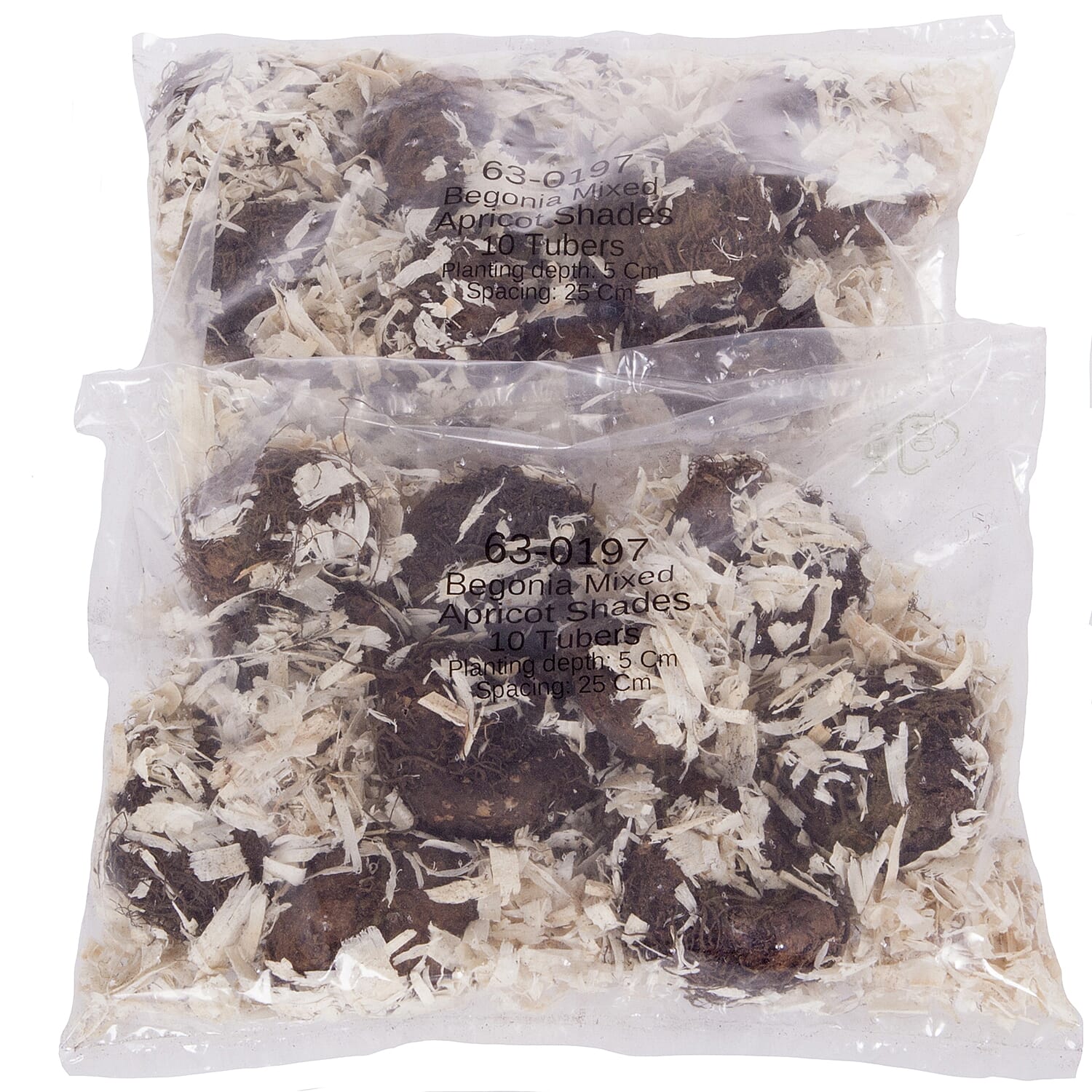 Gardening Direct Trailing Begonia Apricot Sparkle Plugs x 24