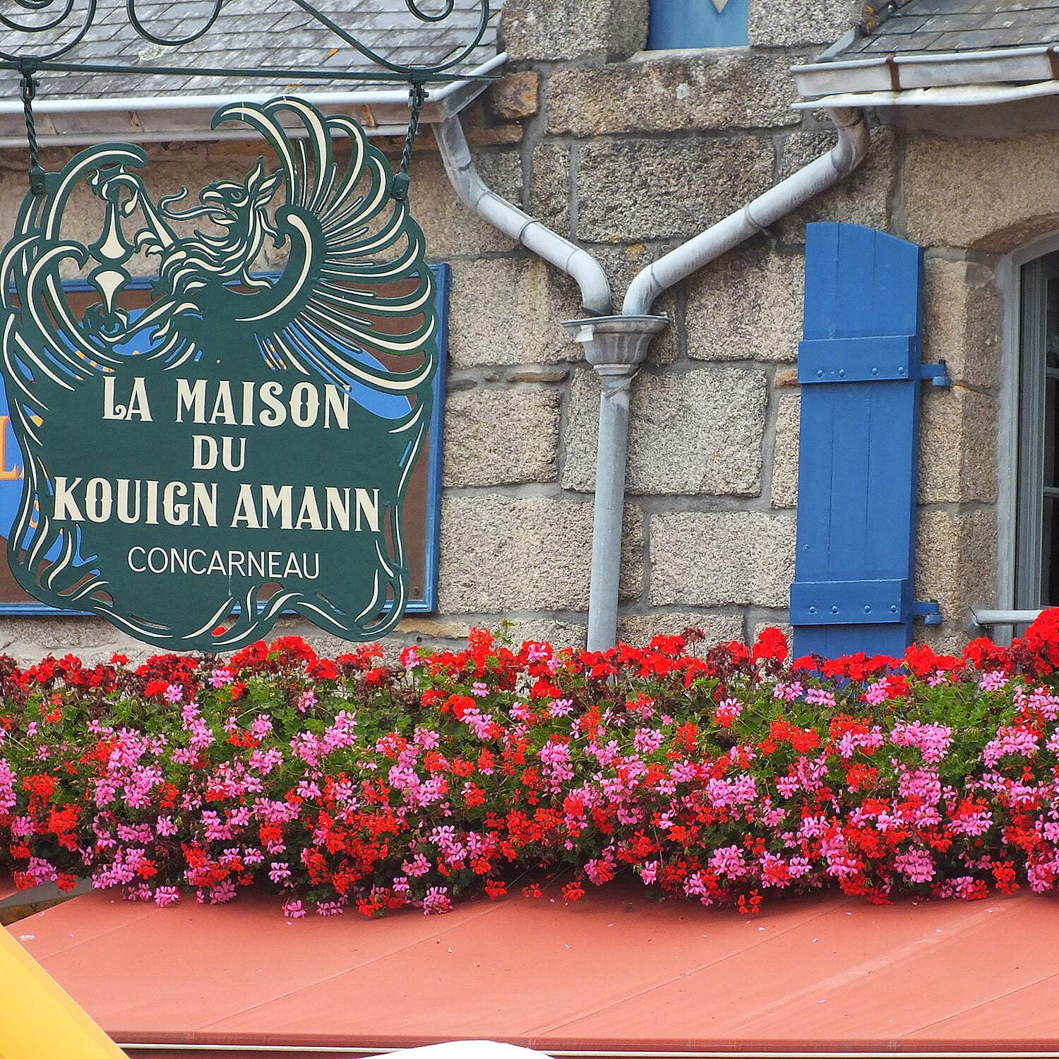 Gardening Direct Geranium Decora Balcony Mix Plugs x 24