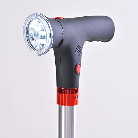 Walking Cane & Pick-Up Reach Combo