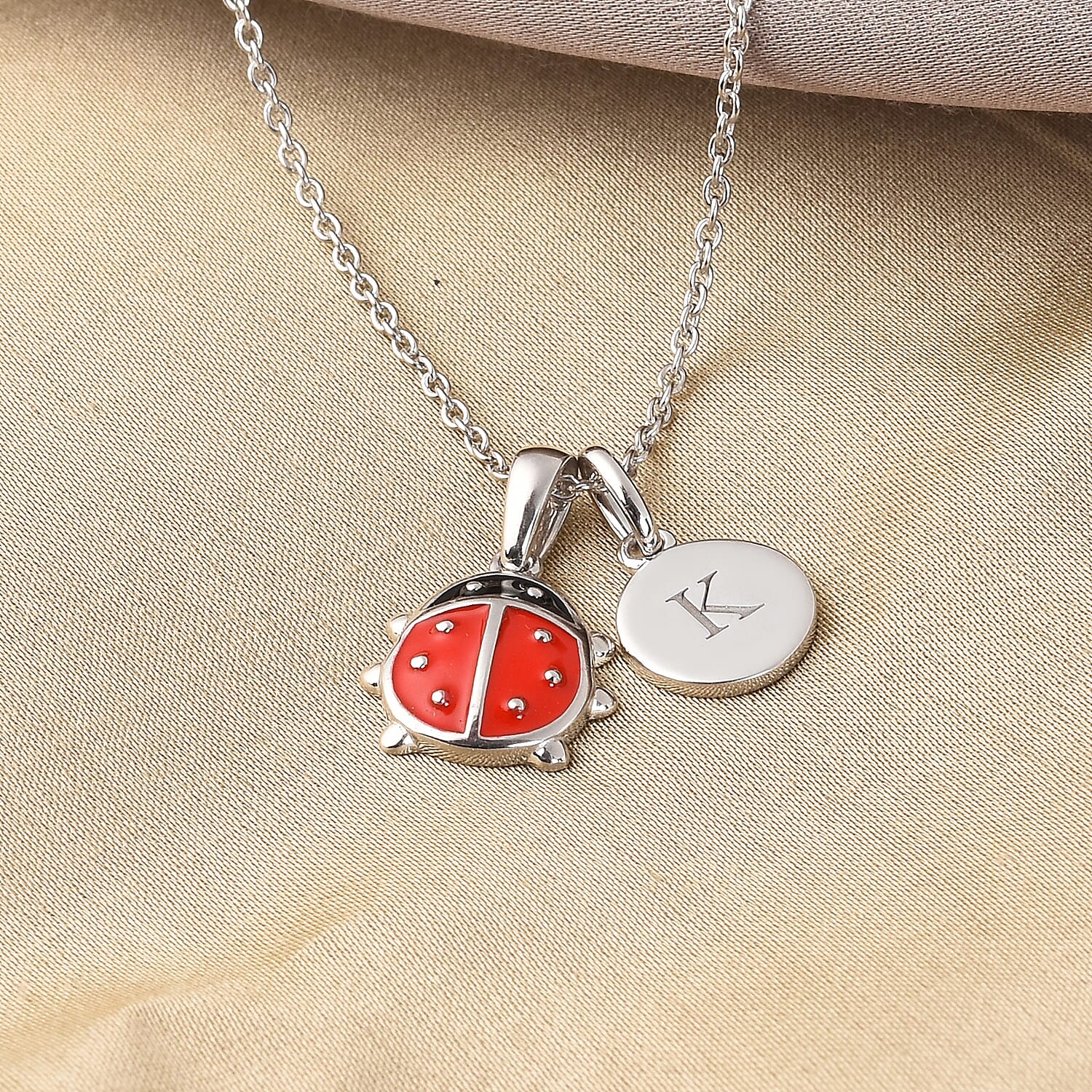 Personalised Engravable Initial Necklace with Ladybug Charm with 20Inch Chain