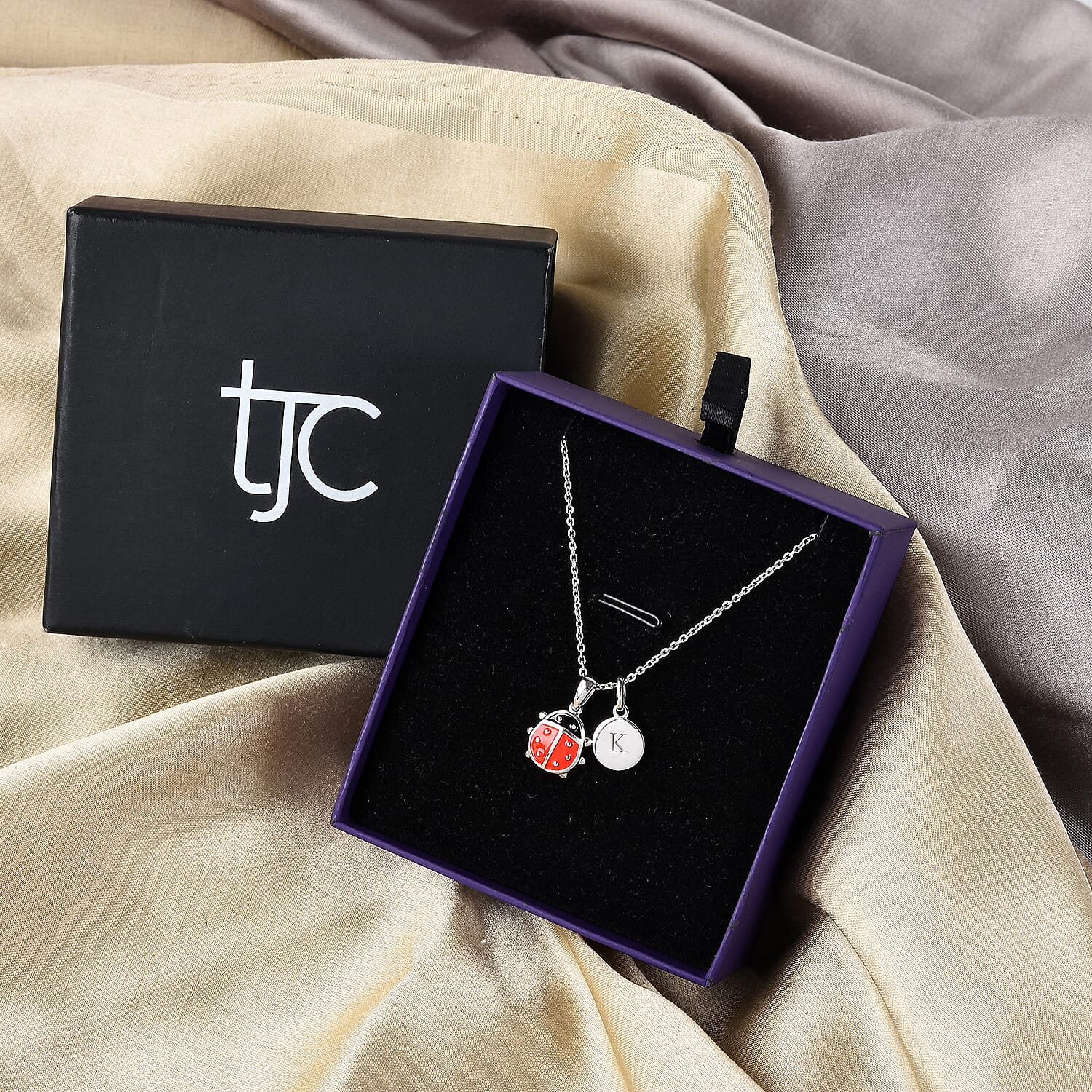 Personalised Engravable Initial Necklace with Ladybug Charm with 20Inch Chain