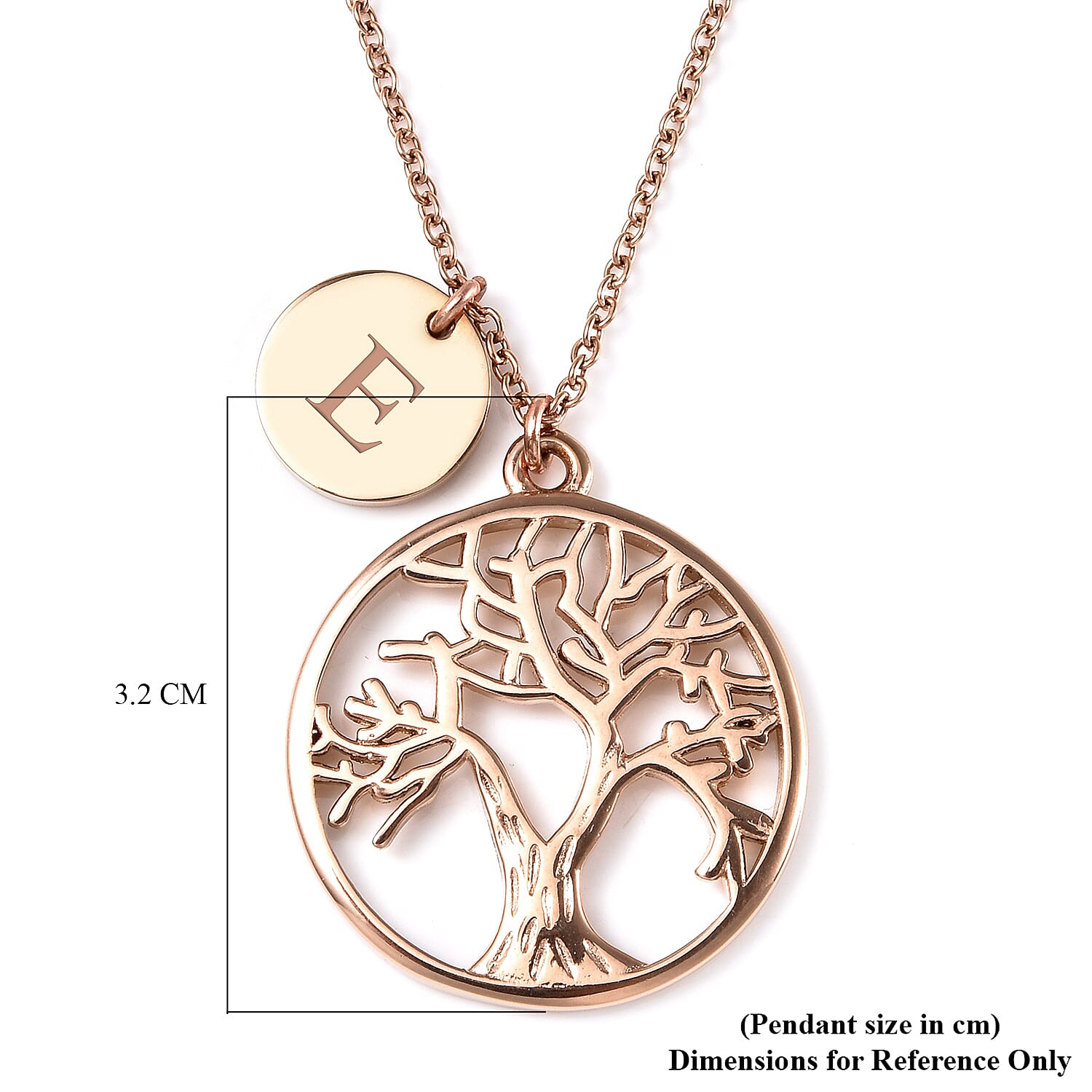 Personalised Tree of Life Necklace with 20 Inch Chain in Stainless Steel
