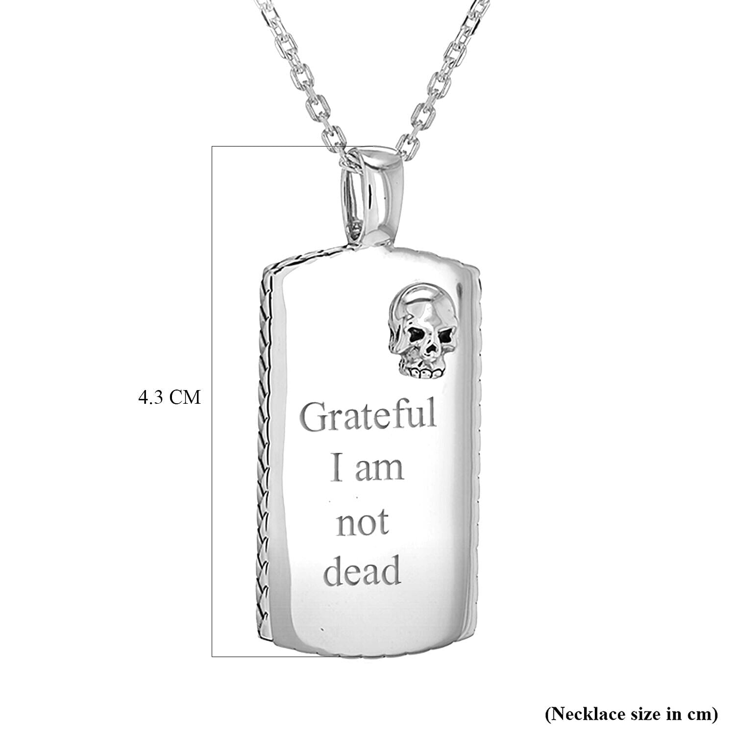 Personalised Engravable Rhodium Plated 19.5mm x 43.1mm Satin-Plaited-Edge Skull Dog Tag Adjustable Necklace in Silver, Size-16-18 Inch